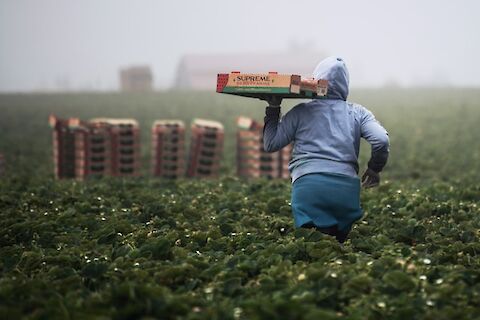 Farmworker Appreciation Day