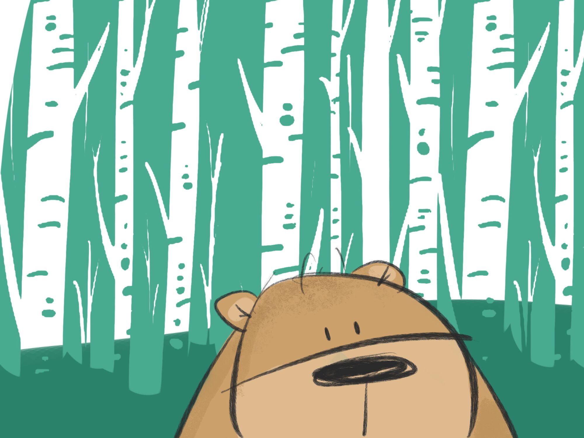 Bear in a birch forest